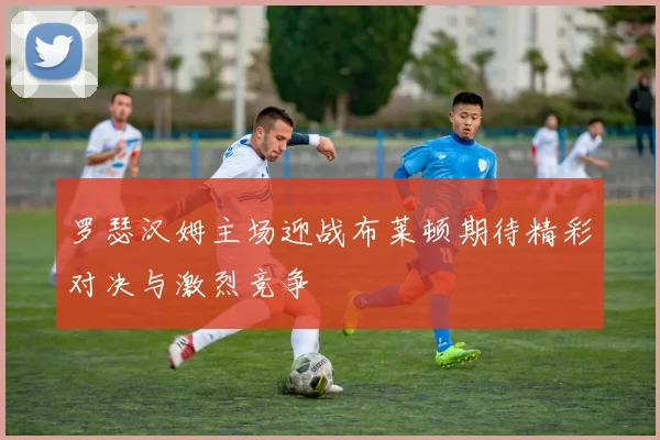 罗瑟汉姆主场迎战布莱顿期待精彩对决与激烈竞争