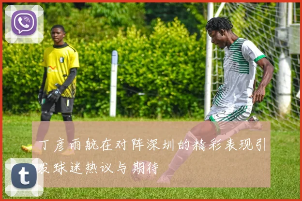 丁彦雨航在对阵深圳的精彩表现引发球迷热议与期待